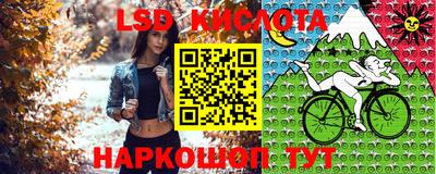PSILOCYBIN Туймазы