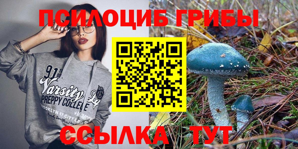 Галлюциногенные грибы мухоморы  Вход с VPN  Сальск 