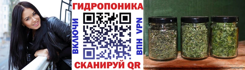 Марихуана LSD WEED  кракен зеркало  Сальск 